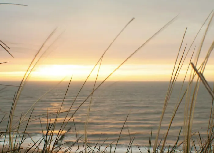 Abaluga 3a * Wenningstedt-Braderup